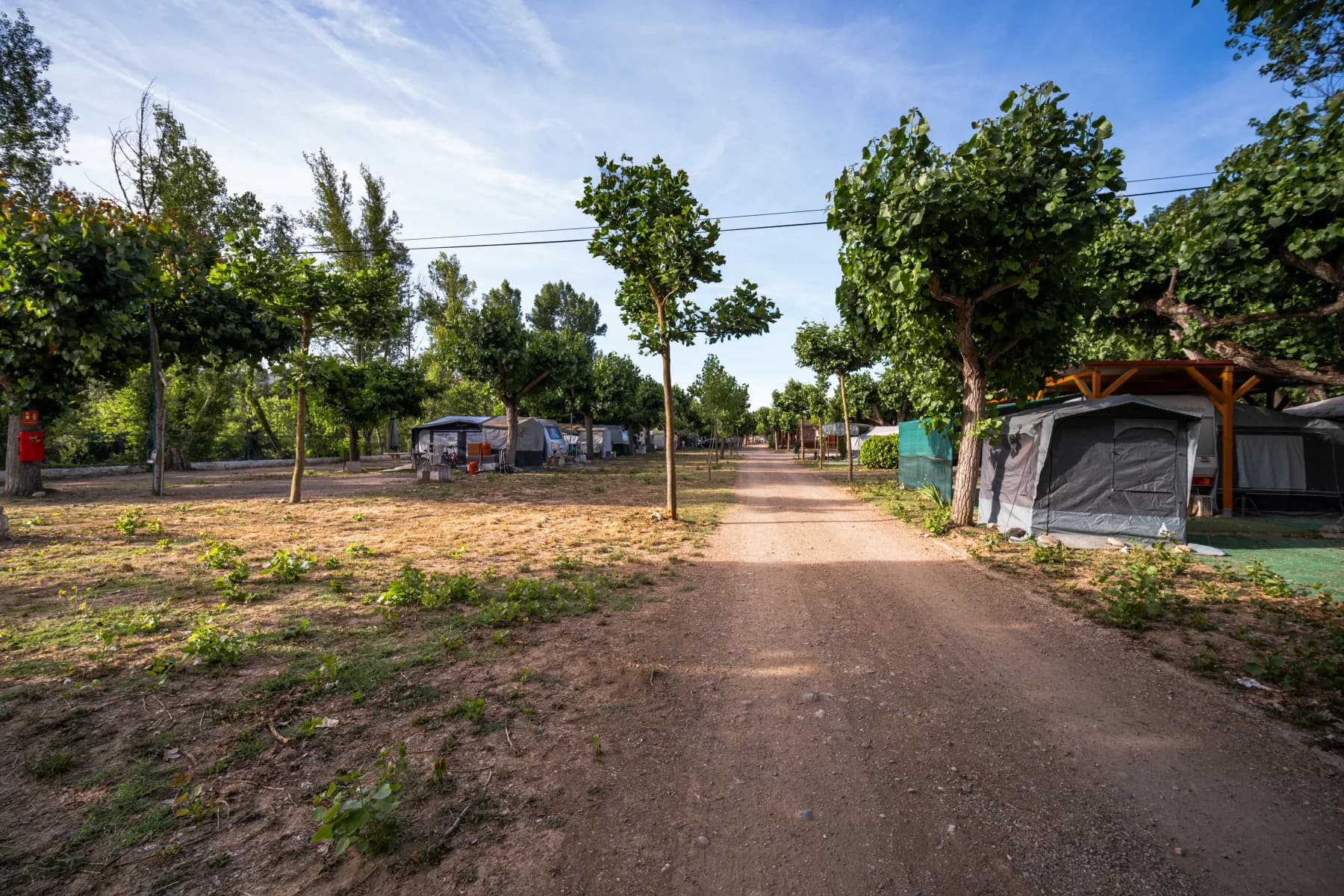 Camino central arbolado del camping