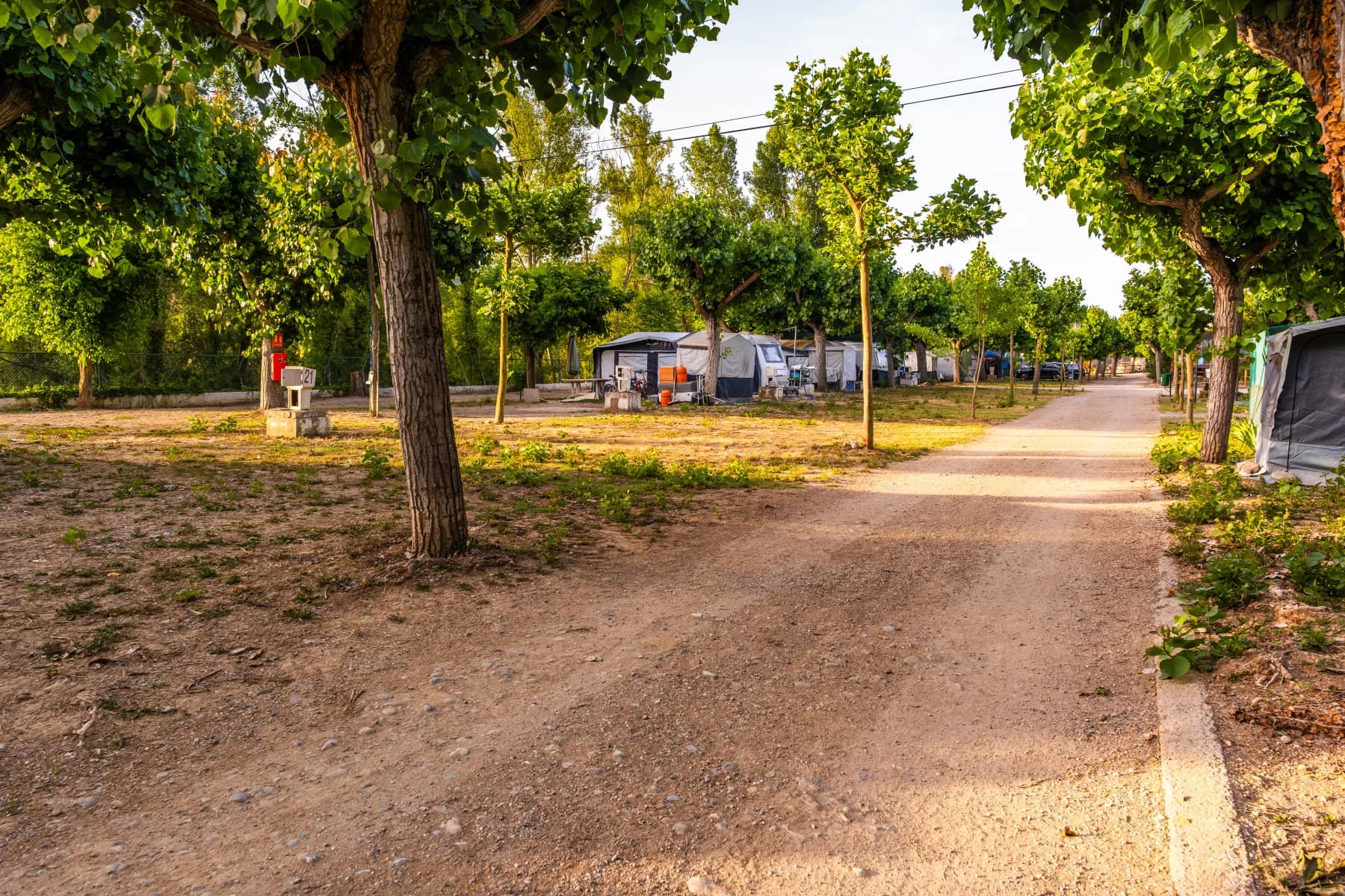 Parcelas arboladas de Camping Graus junto al río Ésera